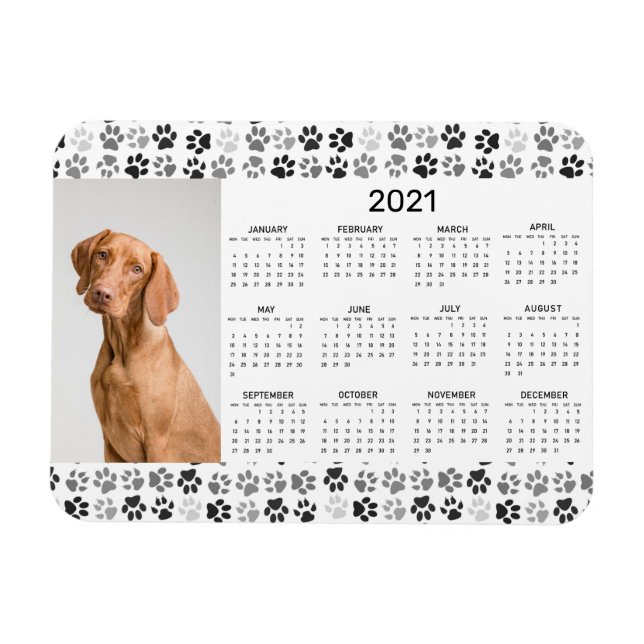 2021 års Fullt - kalenderfoto Hund Cat Pet Tassar Magnet (Horisontell)