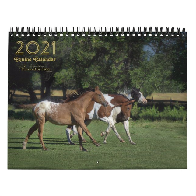 2021 års kalender för hästfoto (Omslag)