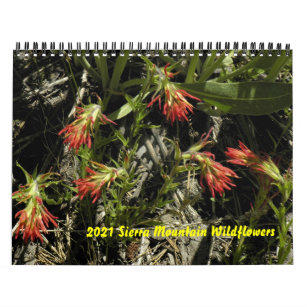 2021 års kalender för Sierra av bergsdjur