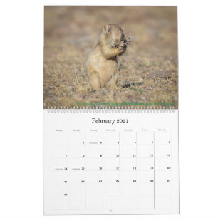2021 års naturkalender kalender