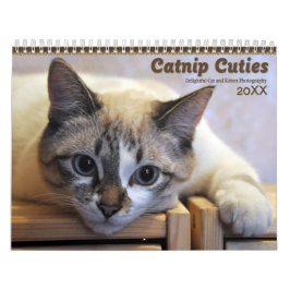 2021 Catnip Cuties Cats and Kittens Kalender