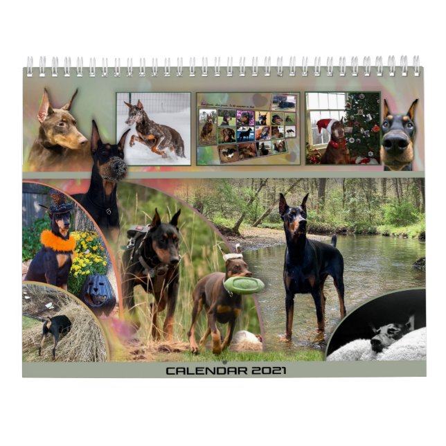 2021 Dobermantalskalender Kalender (Baksida)