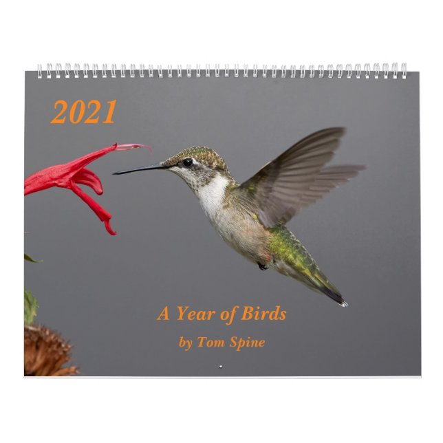 2021 ~ Ett år av fågelkalender Kalender (Omslag)