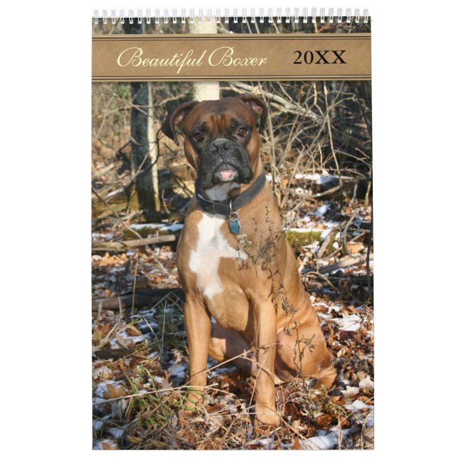 2021 Fin Boxer-Hund Kalender (Omslag)