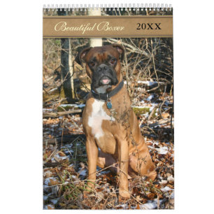 2021 Fin Boxer-Hund Kalender