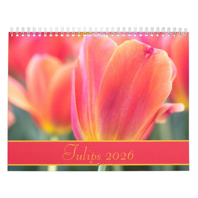 2021 Fotografi av färgstarka tulpaner Kalender (Omslag)