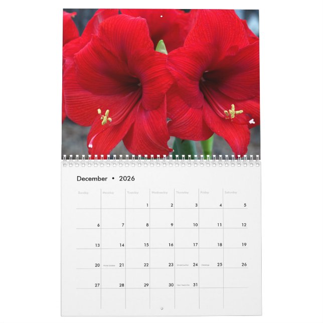 2021 från Lins kalender i Garden (Dec 2026)