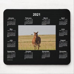 2021 Horse Neon Calendar av Janz Musmatta