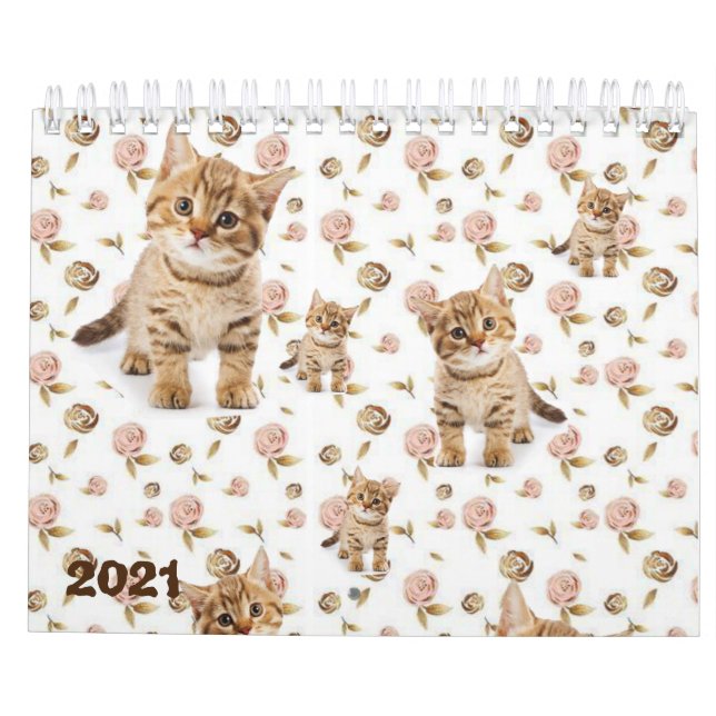 2021 Kalender Kittens Katt (Baksida)