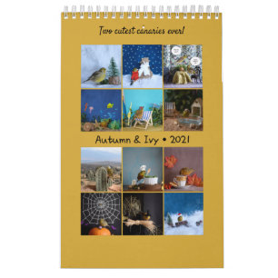 2021 Kanarieöarna Kalender