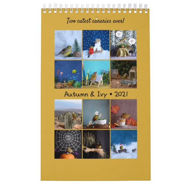 2021 Kanarieöarna Kalender (Omslag)