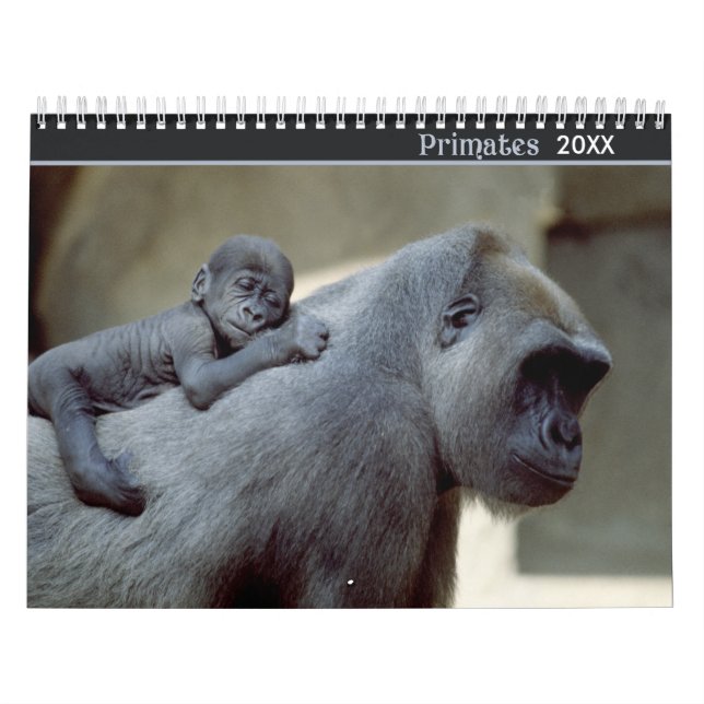 2021 Primerar jägerskapets fotokalender Kalender (Omslag)