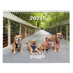 2021 Puggelkalender Kalender