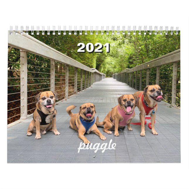 2021 Puggelkalender Kalender (Omslag)
