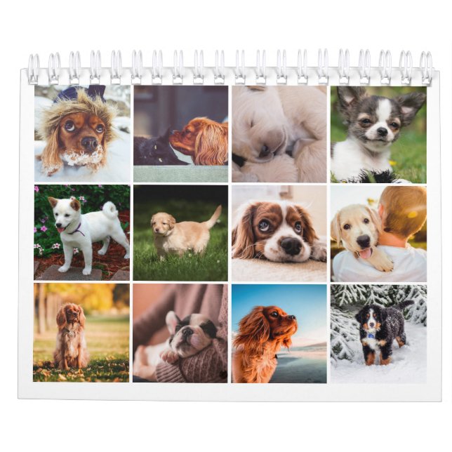 2021 Puppy Hund Pet Photo Kalender (Baksida)