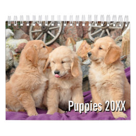 2021 Puppy Hund Pet Photo Kalender