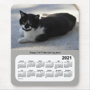 2021 Sassy Cat Calendar av Janz Musmatta
