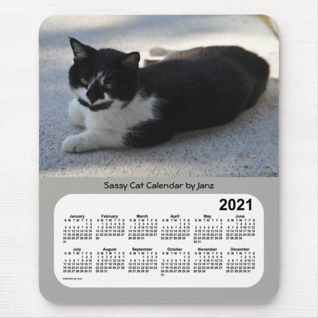 2021 Sassy Cat Calendar av Janz Musmatta (Framsidan)