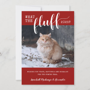 2021 Vad Fluff Funny Pet Cat Photo Julkort