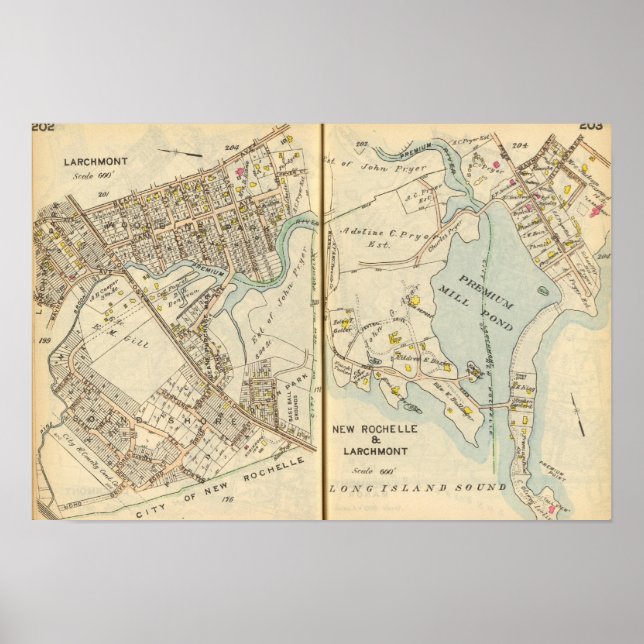 202203 Larchmont, New Rochelle Poster (Framsidan)