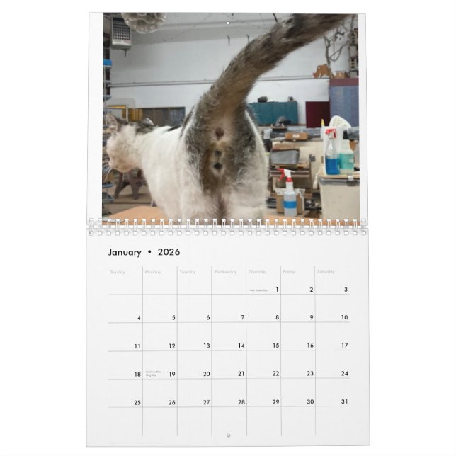 20222-kalender för kattknapp kalender (Jan 2026)