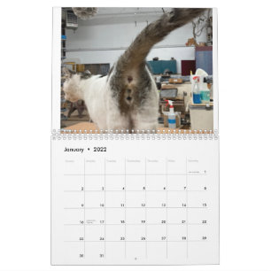 20222-kalender för kattknapp kalender