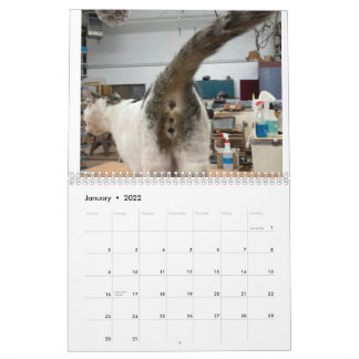 20222-kalender för kattknapp kalender