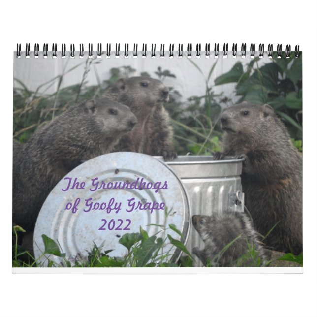 2022 12 månaders Groundhog Photo Wall Kalender (Omslag)