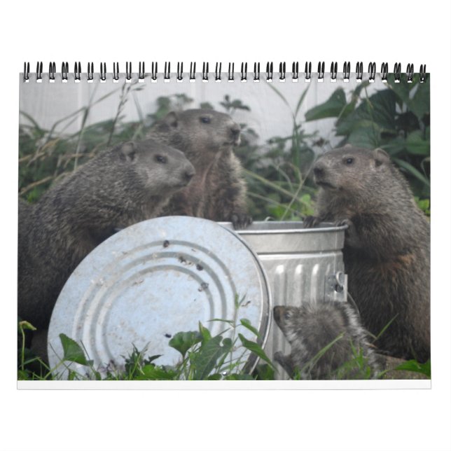 2022 12 månaders Groundhog Photo Wall Kalender (Omslag)
