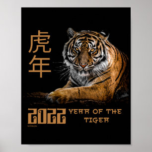2022 ÅR FÖR Kinas nya årspresent Poster