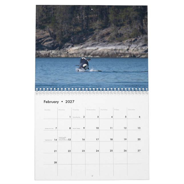 2022 års Orca-kalender Kalender (Feb 2027)