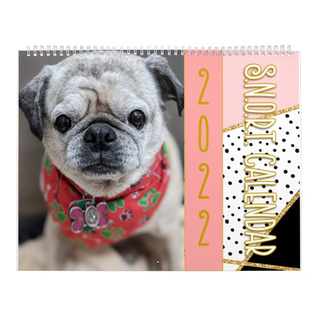 2022 års tidtabell för SNORT Kalender (Omslag)