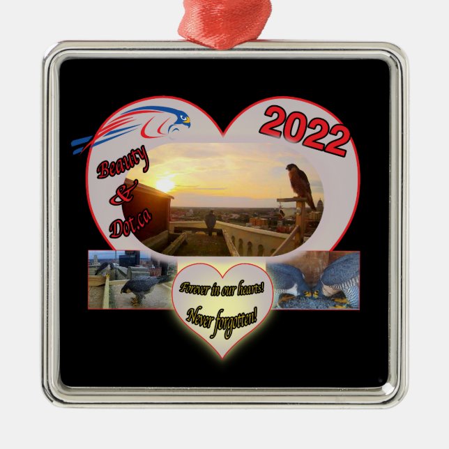 2022 Beauty and Dot.ca Square Memorial Ornament (Framsidan)