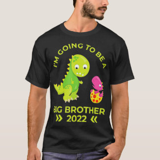 2022 Big Brother Little Sister Dinosaurs  T Shirt