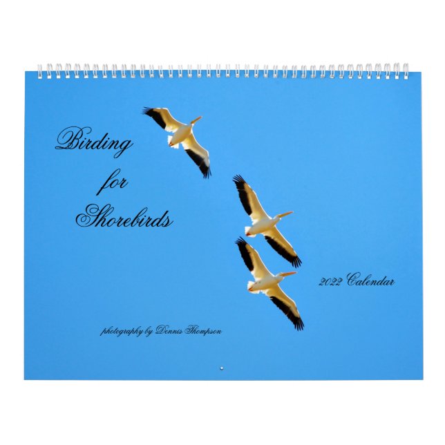 2022 Birding Calendar Kalender (Omslag)