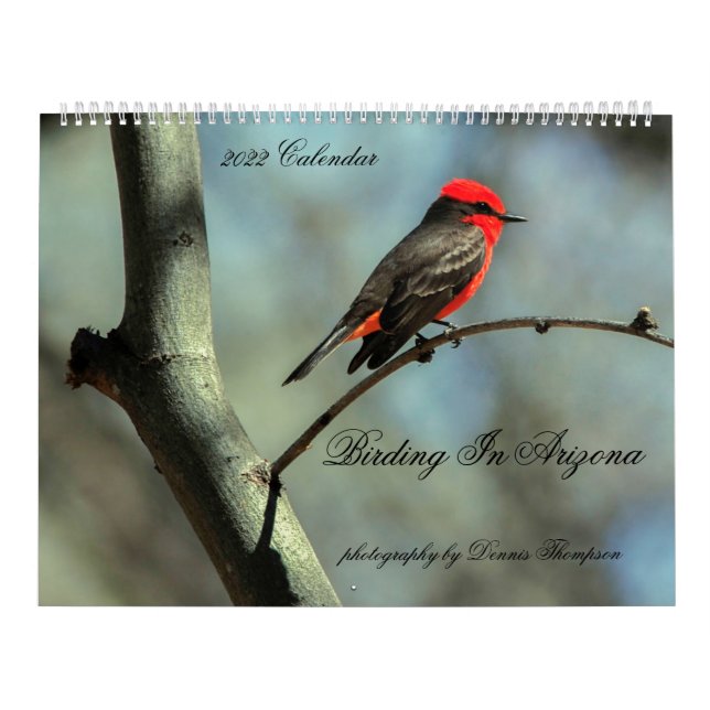 2022 Birding in Arizona Calendar Kalender (Omslag)