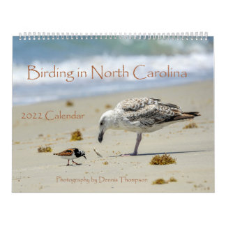 2022 Birding in North Carolina Calendar Kalender