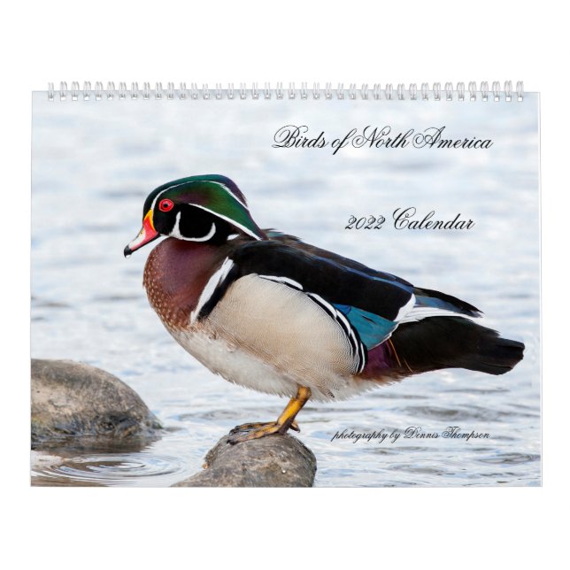 2022 Birds of North America Calendar Kalender (Omslag)