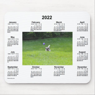 2022 Boll spelar upp Hund Fotokalender av Janz Musmatta