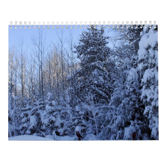 2022 Calendar Nature in Winter  Kalender (Baksida)
