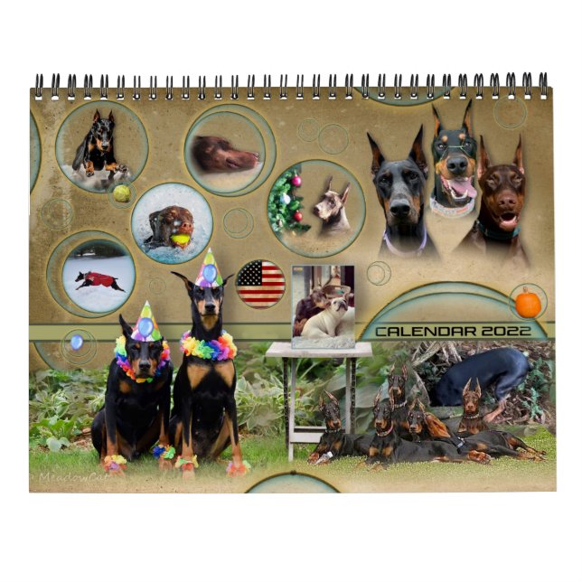 2022 DobermanTalk Calendar Kalender (Baksida)