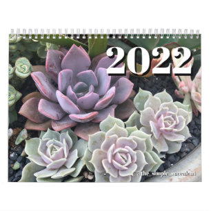 2022: Färgfläckig planteringskalender Kalender