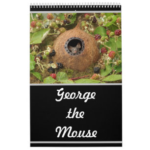 2022 George: muskalender Kalender