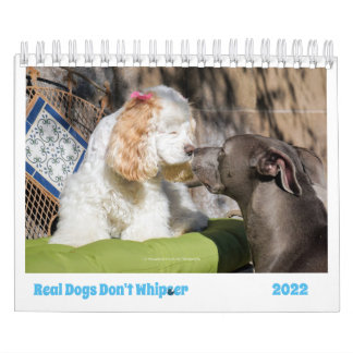 2022-Hund kalender - gör dina dagar ljusare