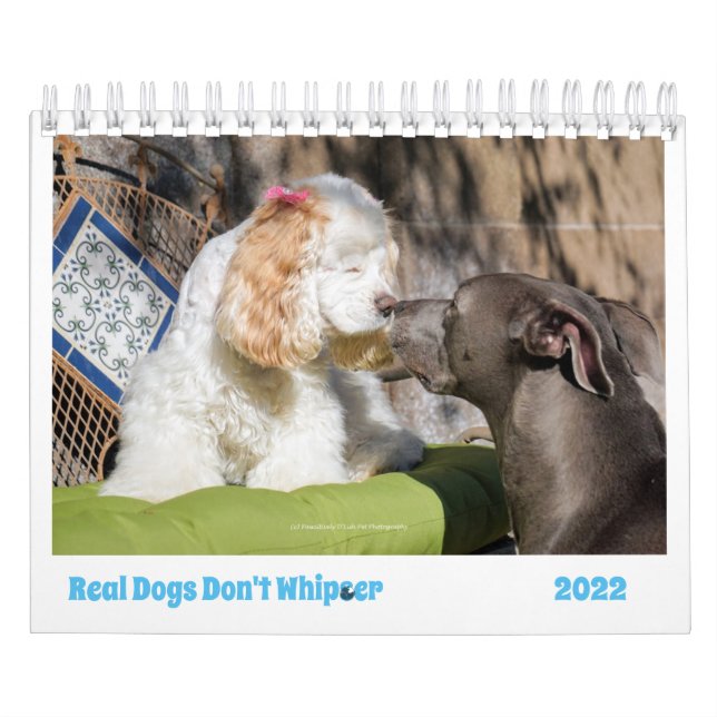2022-Hund kalender - gör dina dagar ljusare (Omslag)