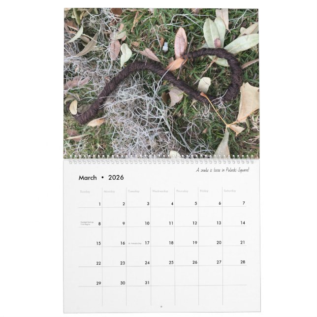 2022 Kalender för 11x14 Savannah Tumbleweaves (Mar 2026)