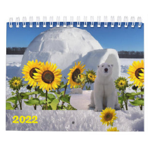 2022 Kalenderns Polar Kalender