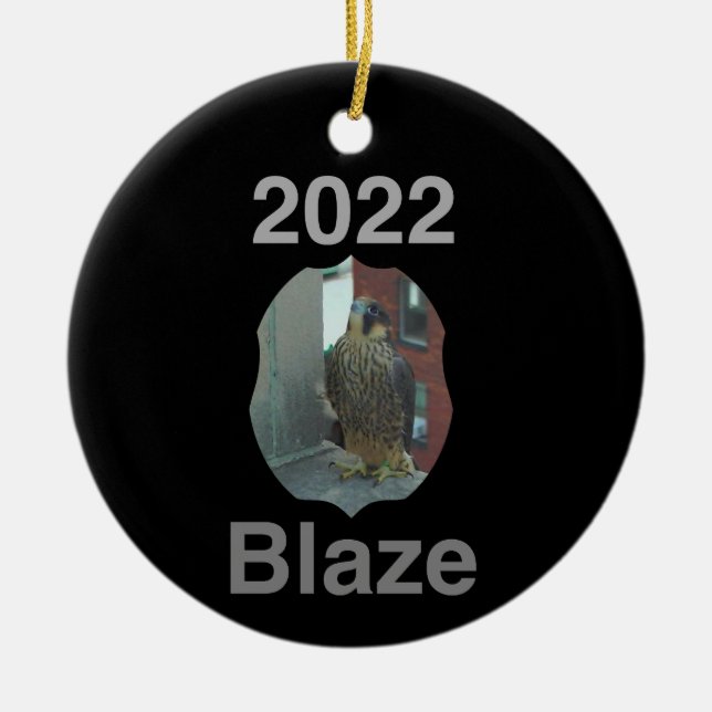 2022 Keramisk cirkel Ornament Blaze (Framsidan)