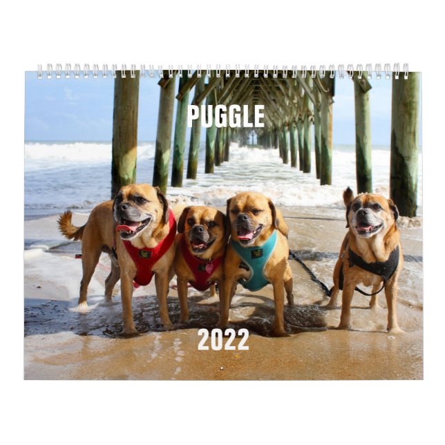 2022 Puggelkalender Kalender (Omslag)