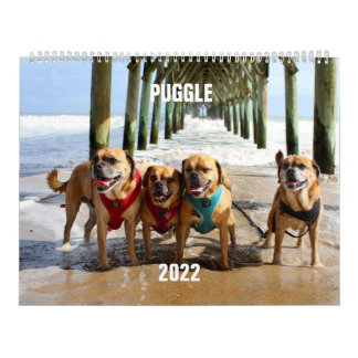 2022 Puggelkalender Kalender